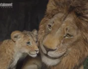 Meet Kiros, Mads Mikkelsen’s villainous pack leader of Disney’s Mufasa prequel