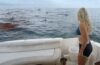 Great White Waters: Sharks, Cartels and Ocean Chaos – The Wild Campfest You Didn’t Know You Needed!