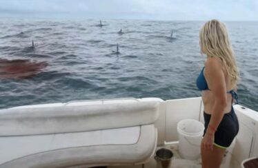 Great White Waters: Sharks, Cartels and Ocean Chaos – The Wild Campfest You Didn’t Know You Needed!