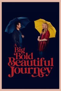 A Big Bold Beautiful Journey